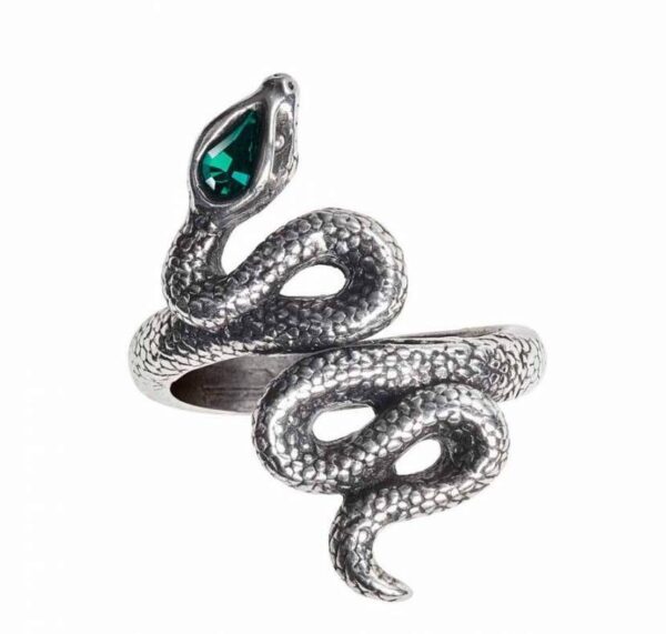 Anillo1