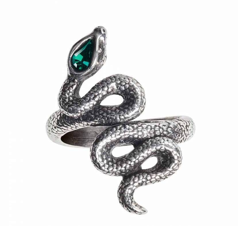 Anillo1