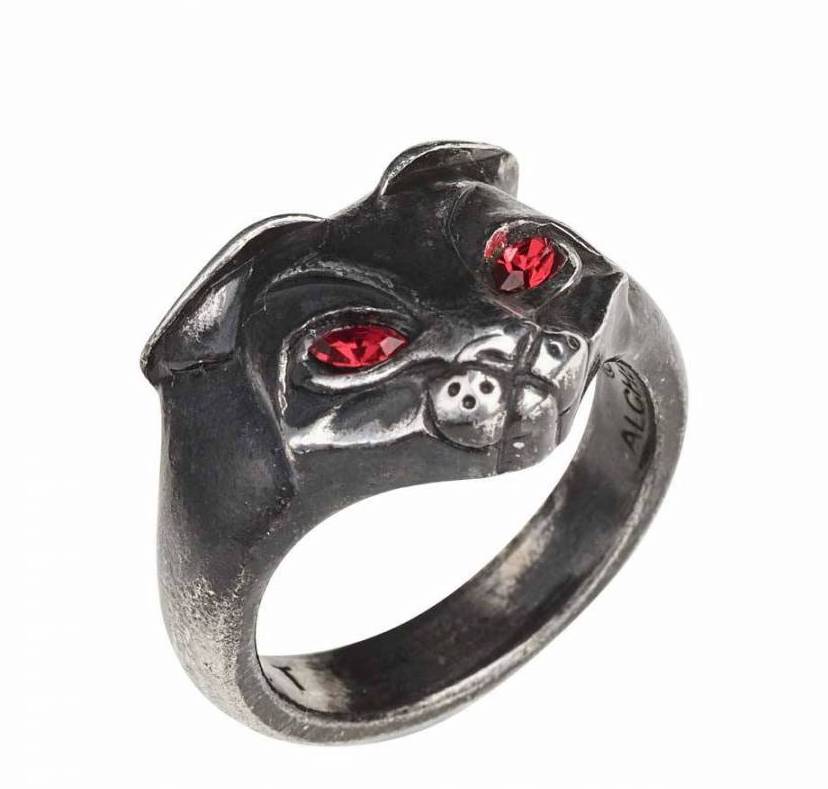 Anillo13