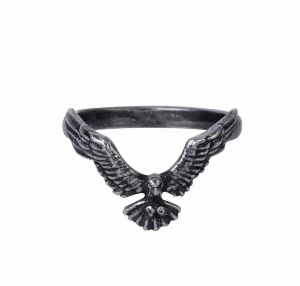 Anillo4