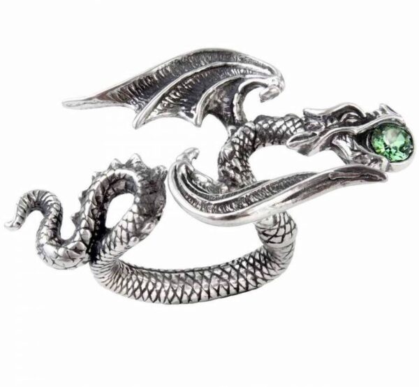Anillo8