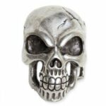 echhebillacraneoUG4002-etNox-Guertelschnalle-Skull-1_200x200