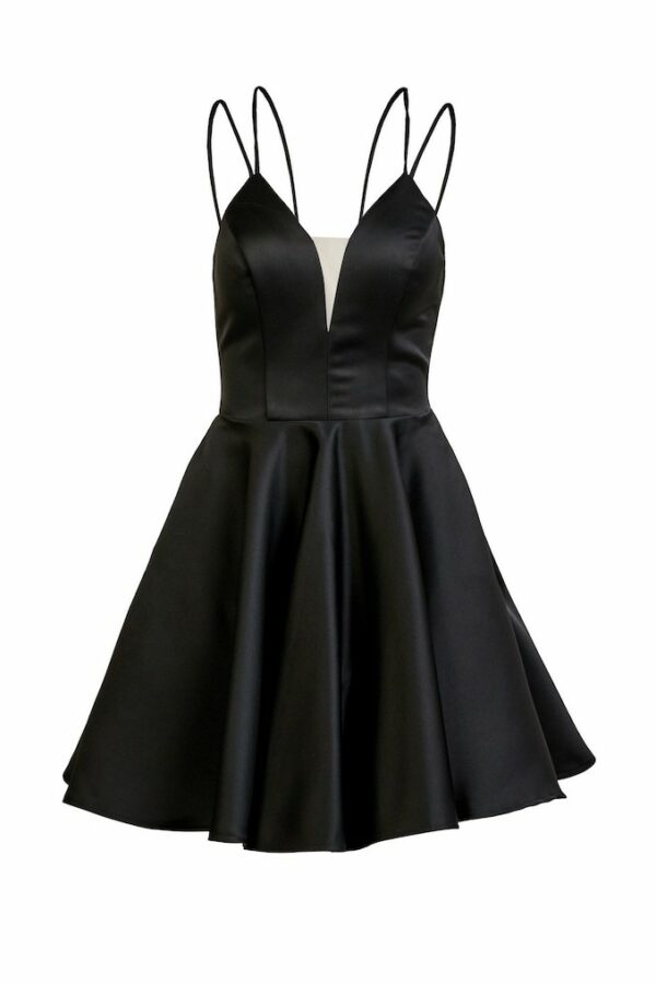 FP606769Negro