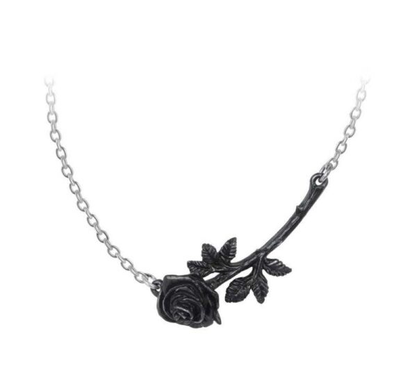 black-rose-enigma