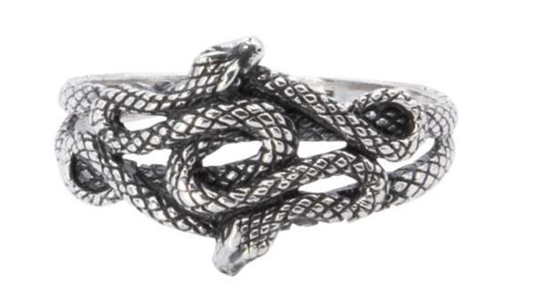 anillo doble serpiente
