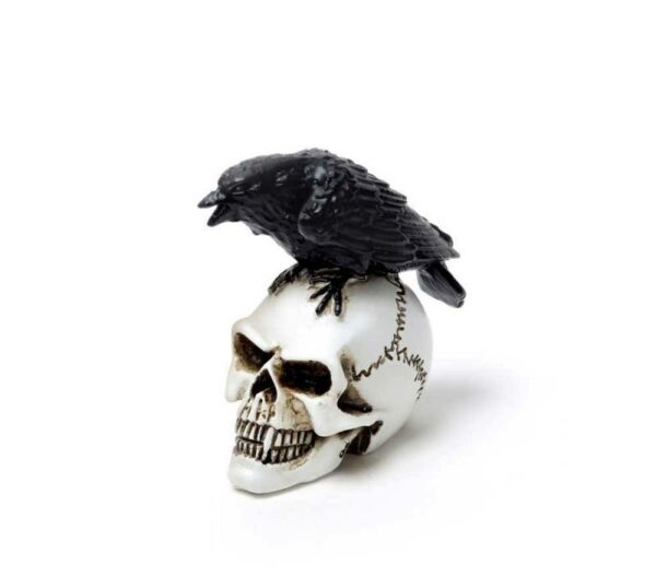 raven-skull-miniture