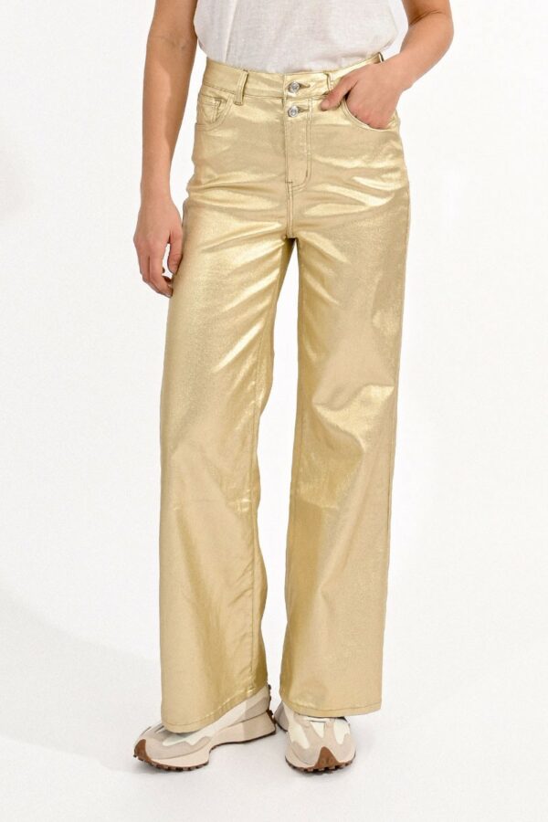 mol1698...pantalon-largo-tejido-brillante