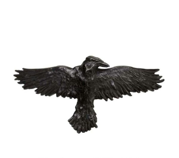 alchh10.1black-raven-hair-slide