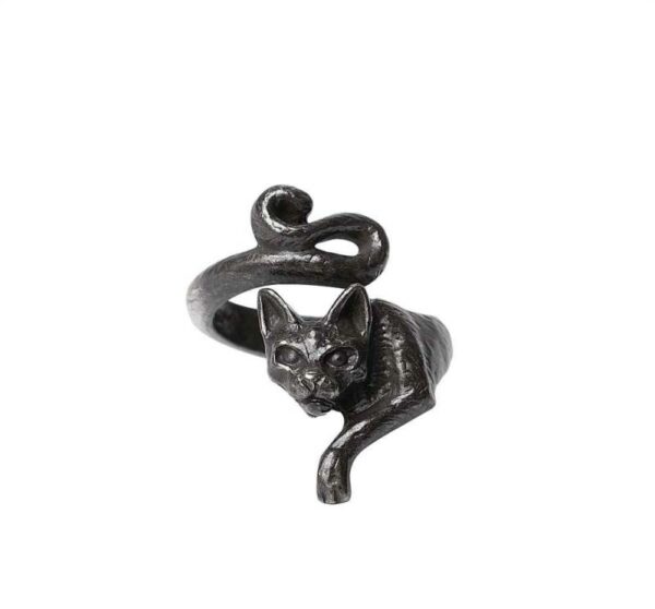 le-chat-noir