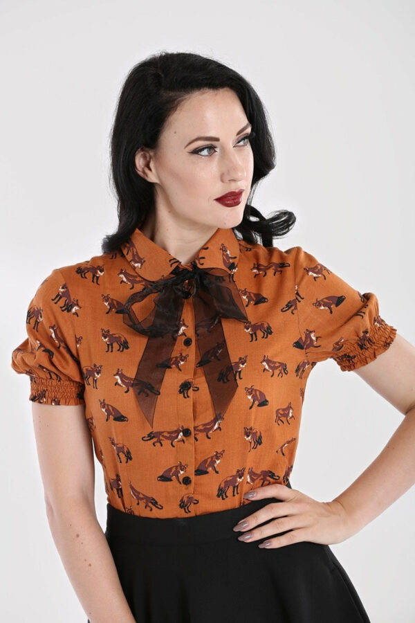 vixhlb60061-vixey-blouse-brown-01_8_1