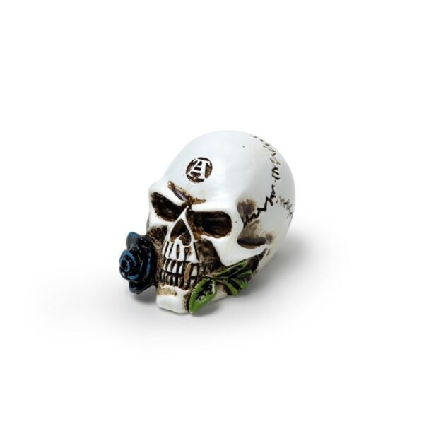 vm6alchemist-skull-miniture