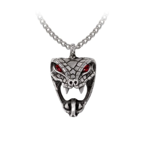 alcp1006snake-bite-naeddre-